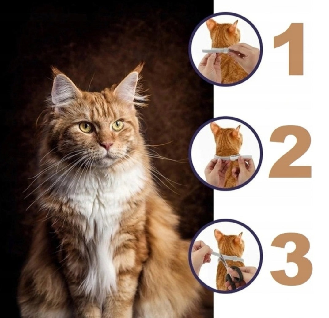 FLEAS COLLAR CAT TICKS FOR PARASITES OILS GREY + SURPRISE Manufacturer code KP0CHSC