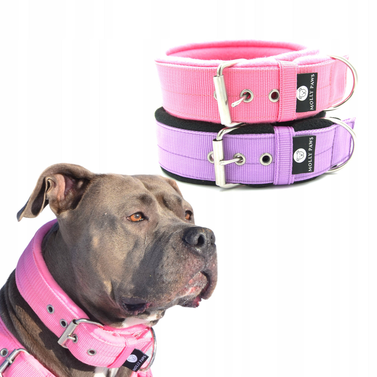 FLEECE COLLAR FOR BIG DOG SIZE 43cm-51cm ALL COLORS