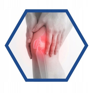 FLEX PLUS 90 kap COLLAGEN MSM GLUCOSAMINE CHONDROITIN BONE JOINTS | INSPORT Kind multi-component product