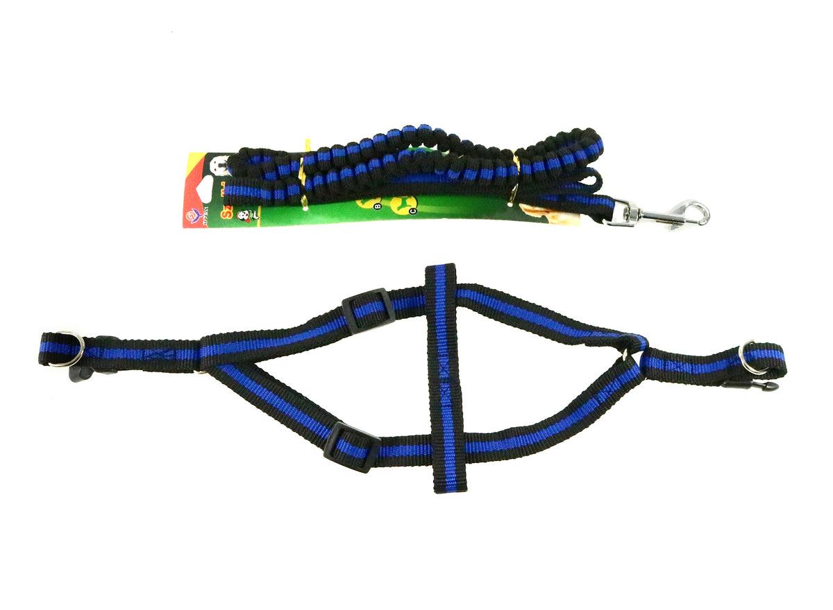 FLEXIBLE LEASH WITH WIDTH HARNESS. 1.5 - 302937