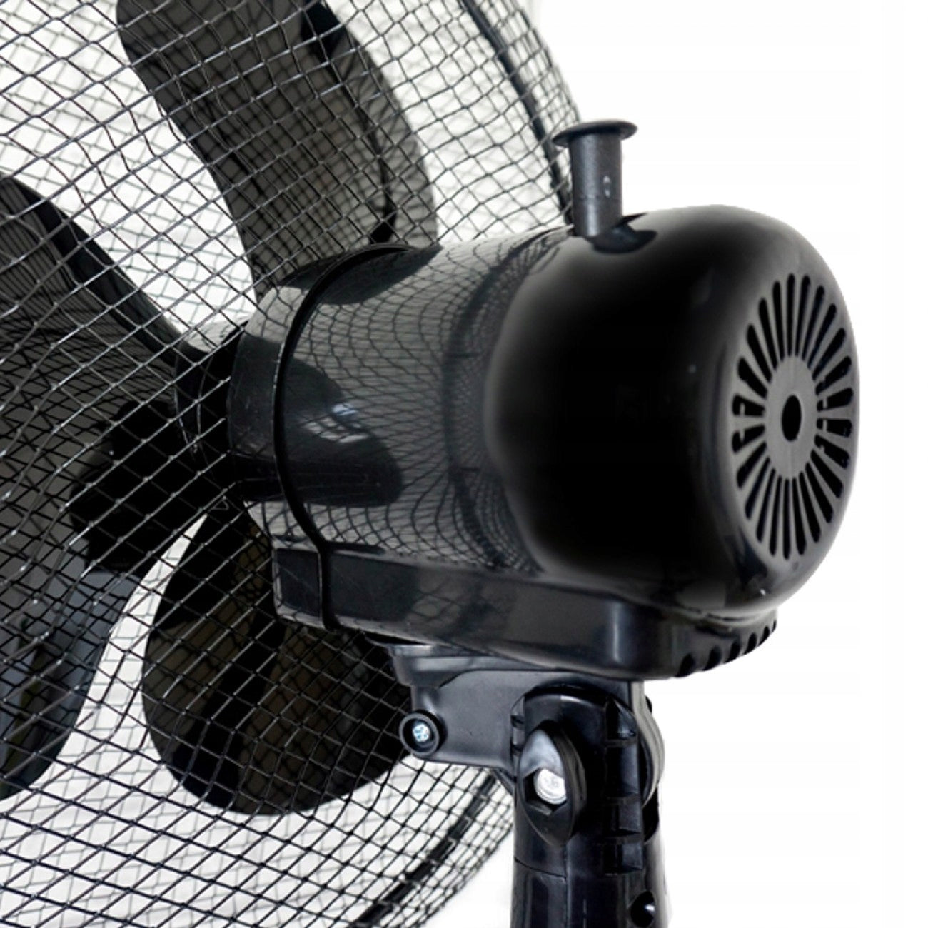 FLOOR FAN STANDING FAN FOR HOME TRANSMISSION CIRCULATOR 50W Brand Esperanza