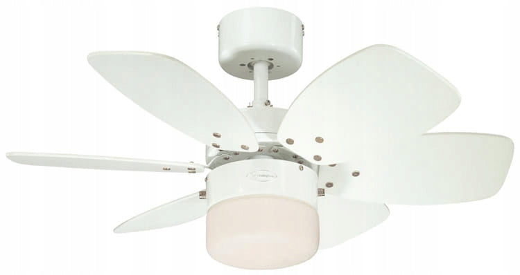 FLORA ROYALE Ceiling Fan White/Maple - 76cm | Small Fan for Kitchen Packaging status original