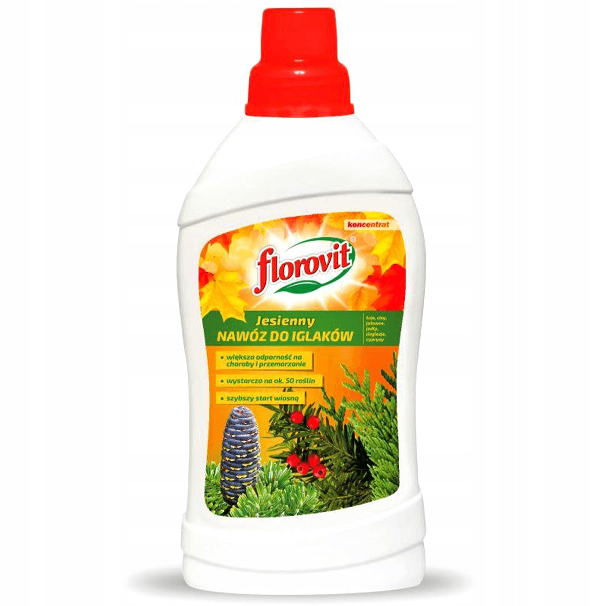 FLOROVIT Liquid autumn fertilizer for coniferous plants 1L