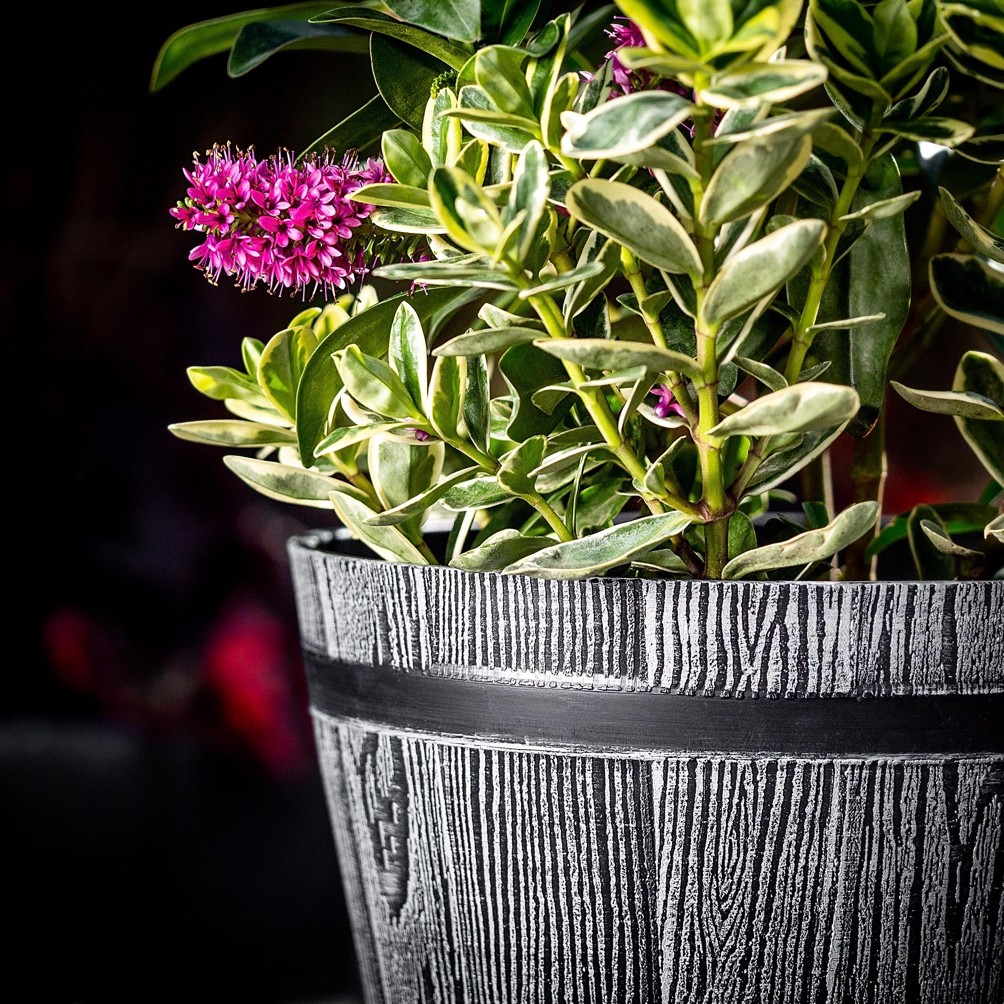 FLOWER POT 30cm GARDEN COVER ROUND FLOWERBED PLASTIC Brand Kadax