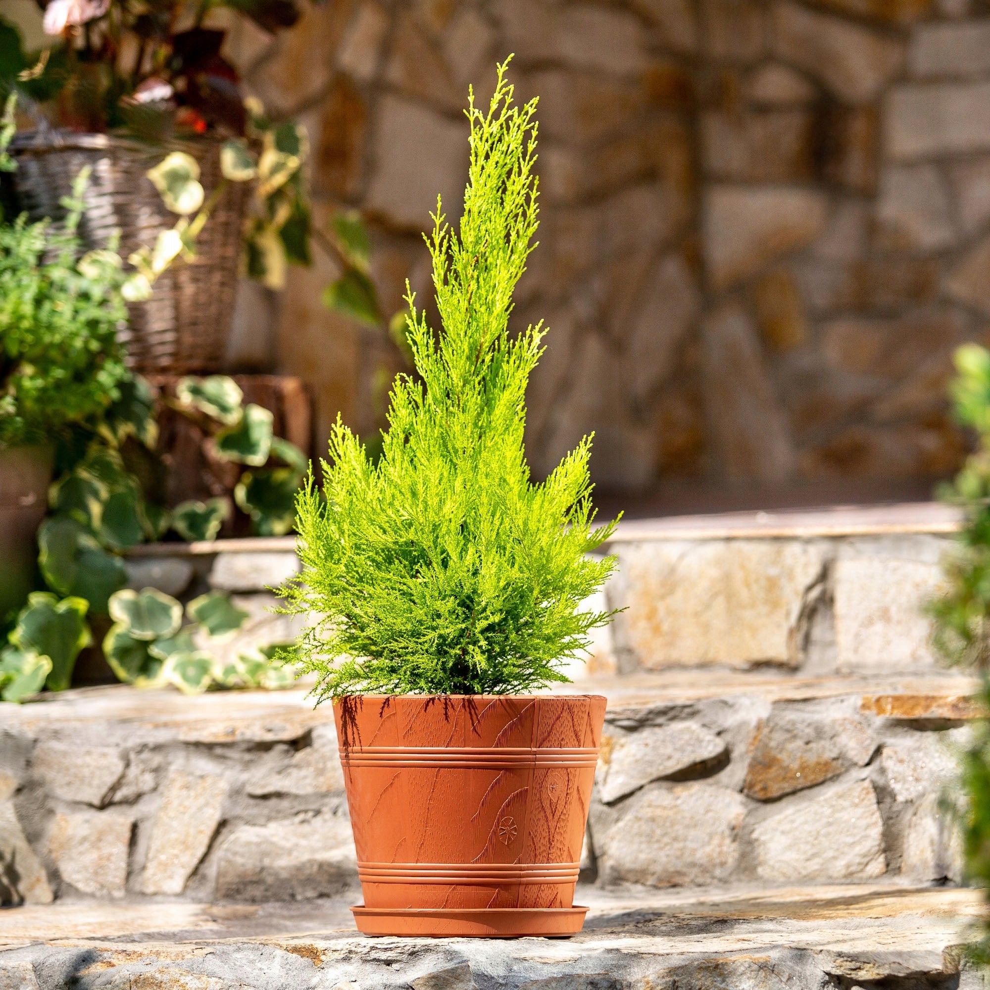 FLOWER POT 30cm WOOD-LIKE PLASTIC FLOWER POT Packaging status original