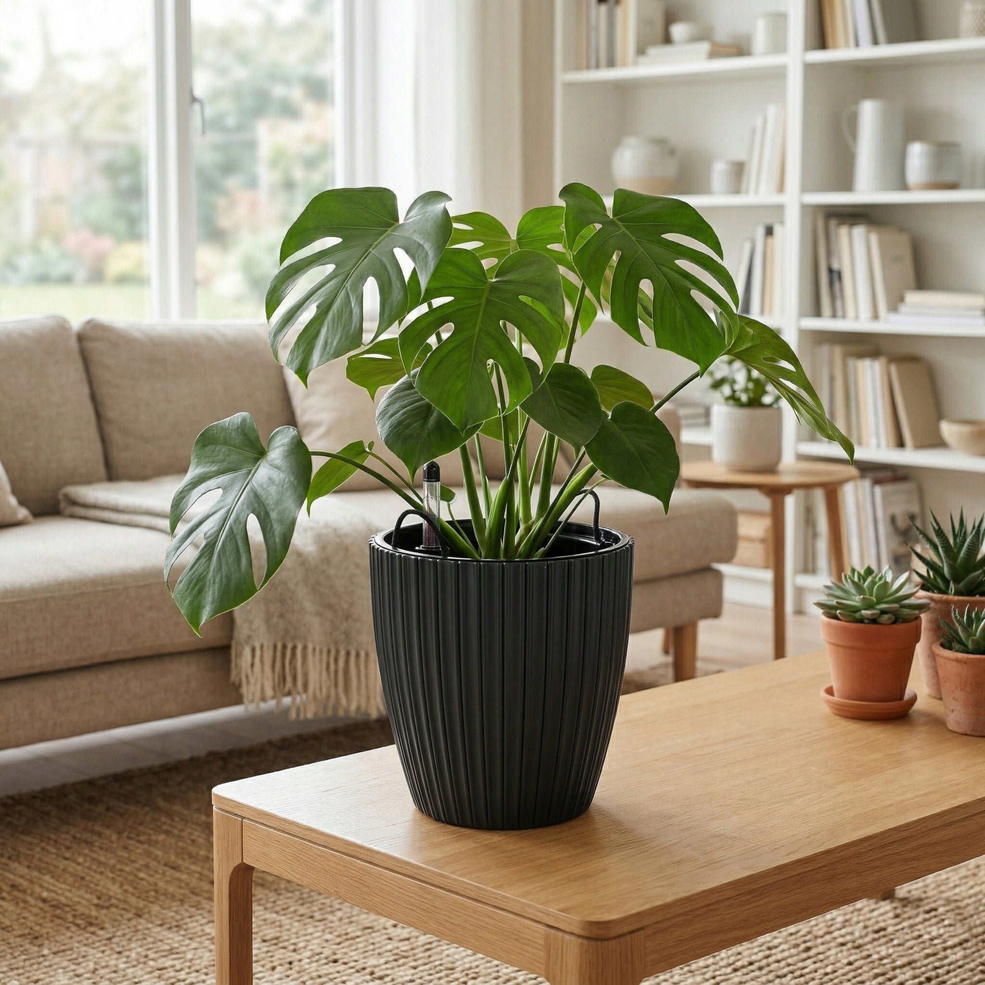 FLOWER POT 50cm COVER WITH CARTRIDGE FLOWERBED ANTHRACITE PLASTIC Packaging status original