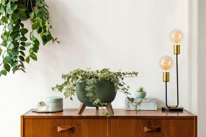 FLOWER POT BOWL ROMA 29 PLANTER ON LEGS Black CONCRETE Brand Lamela