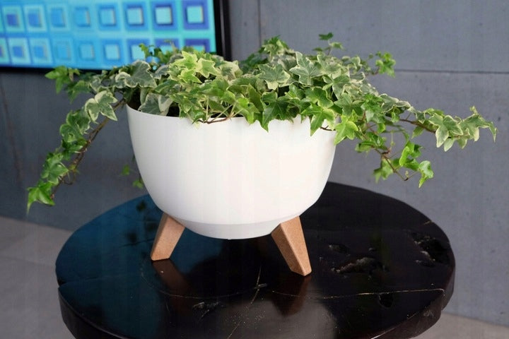 FLOWER POT BOWL ROMA 29 PLANTER ON LEGS Black CONCRETE Manufacturer code LA880-71