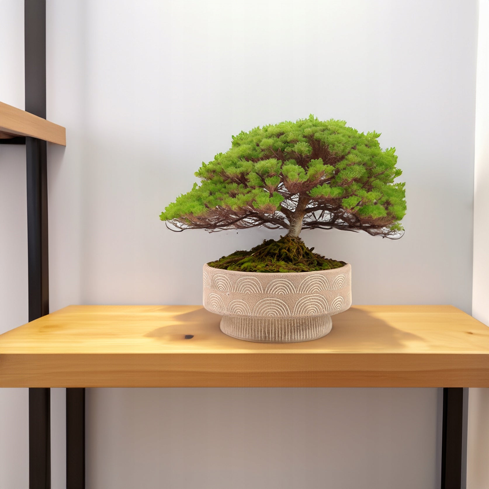FLOWER POT FOR BONSAI balcony terrace 25cm low flat large beige concrete BOHO EAN (GTIN) 7340197409273