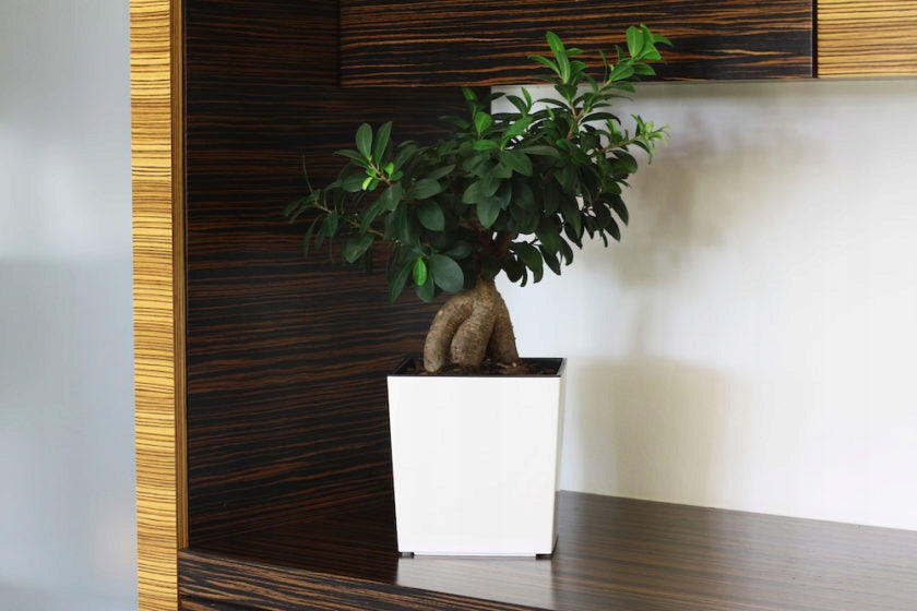 FLOWER POT LAMELA JUKA 25x25 h26+insert GREY CONCRETE Manufacturer code LA552-70