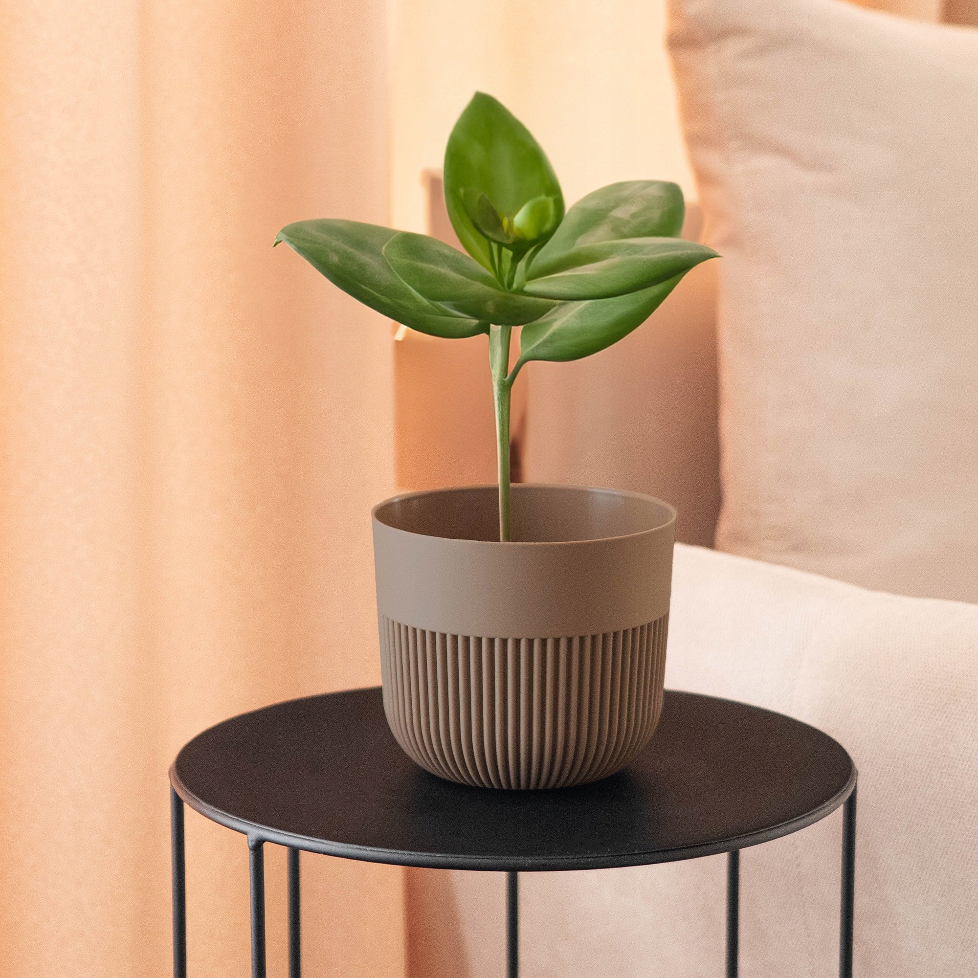 FLOWER POT PLANTER COVER 11cm FOR FLOWERS PLASTIC ROUND RIBBED BEIGE Packaging status original