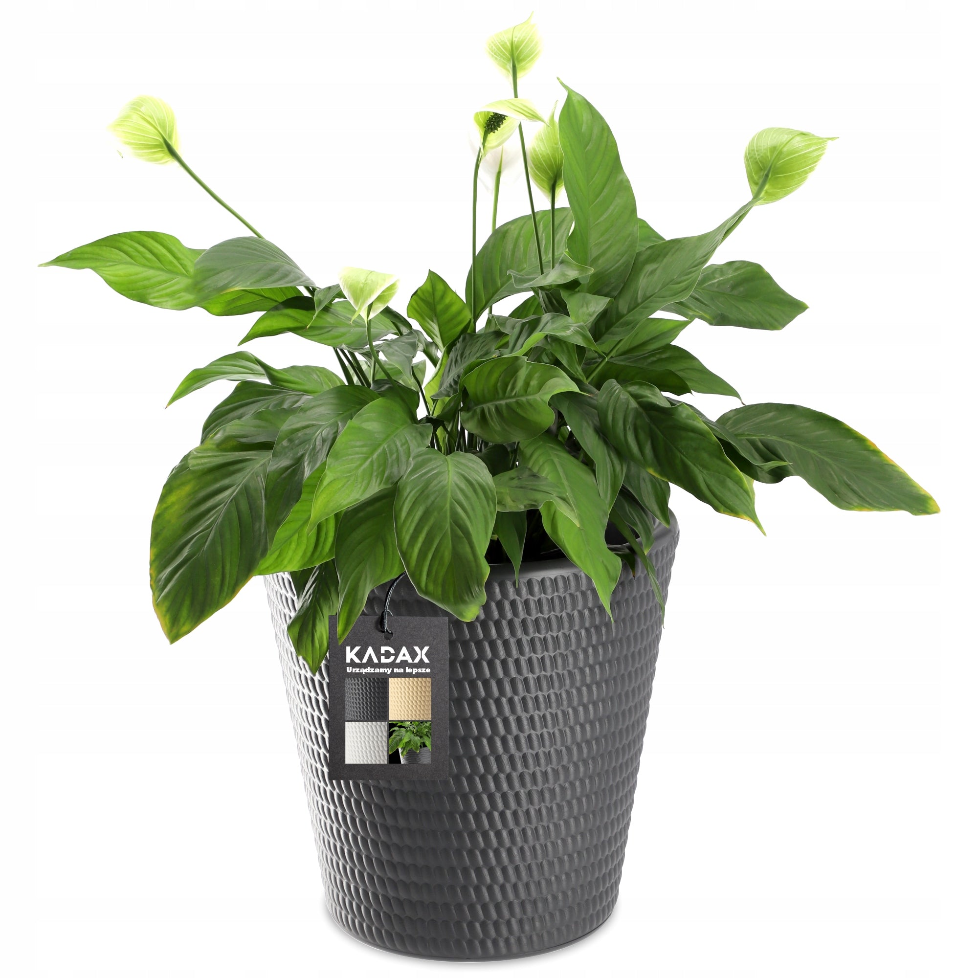 FLOWER POT PLASTIC PLANT COVER ROUND 30 cm ANTHRACITE Manufacturer code K4188