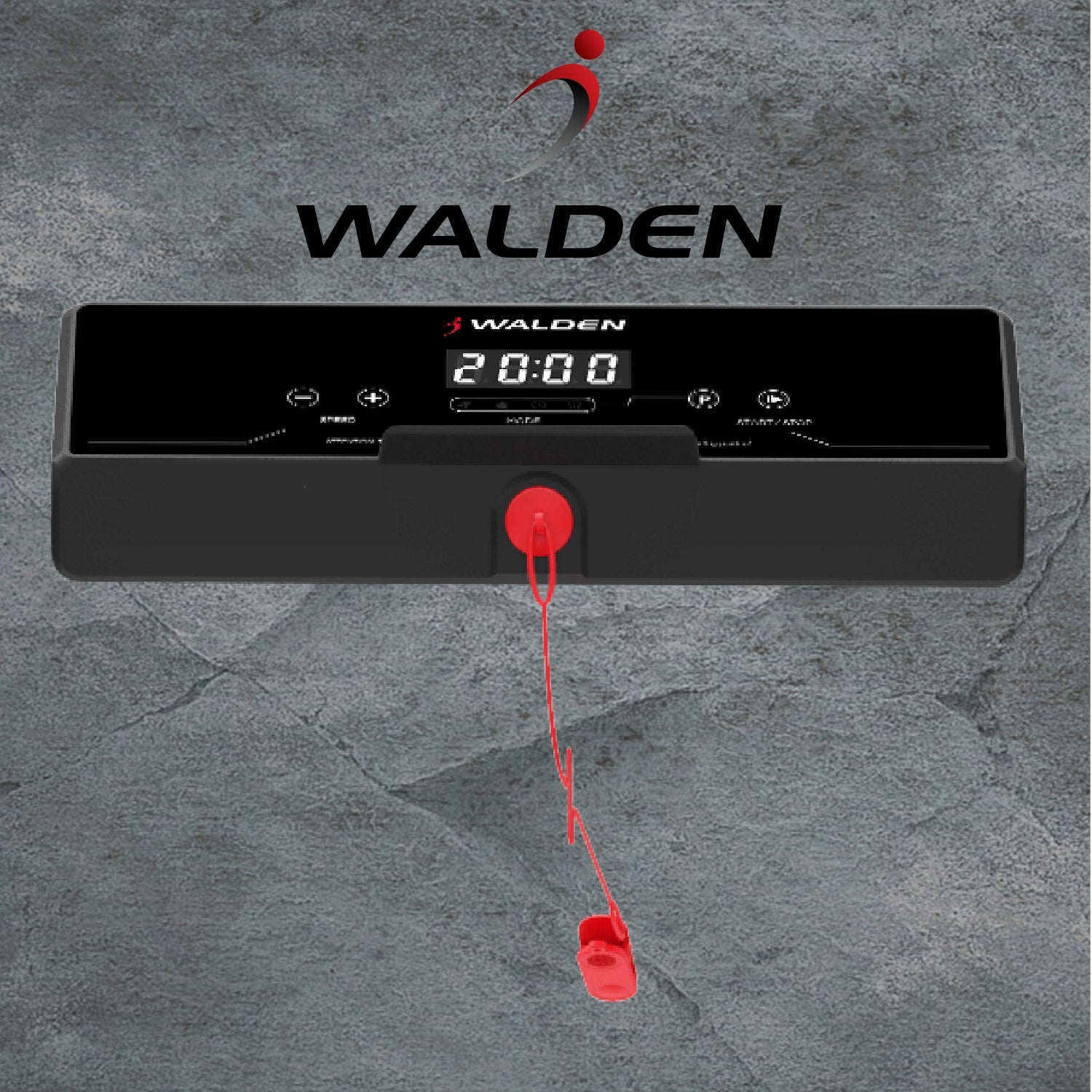 FOLDING ELECTRIC TREADMILL 10 KM/H WALDEN F2800 Brand Walden