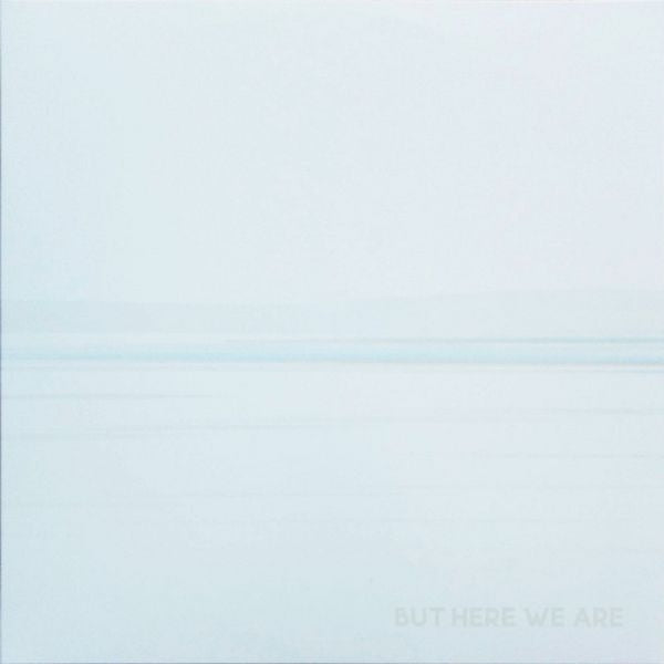 Schallplatte Foo Fighters - But Here We Are 
