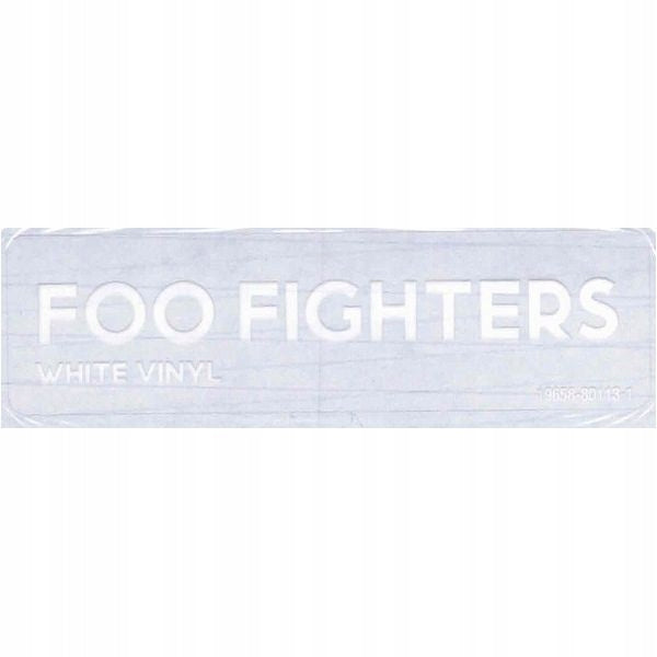 Schallplatte Foo Fighters - But Here We Are 