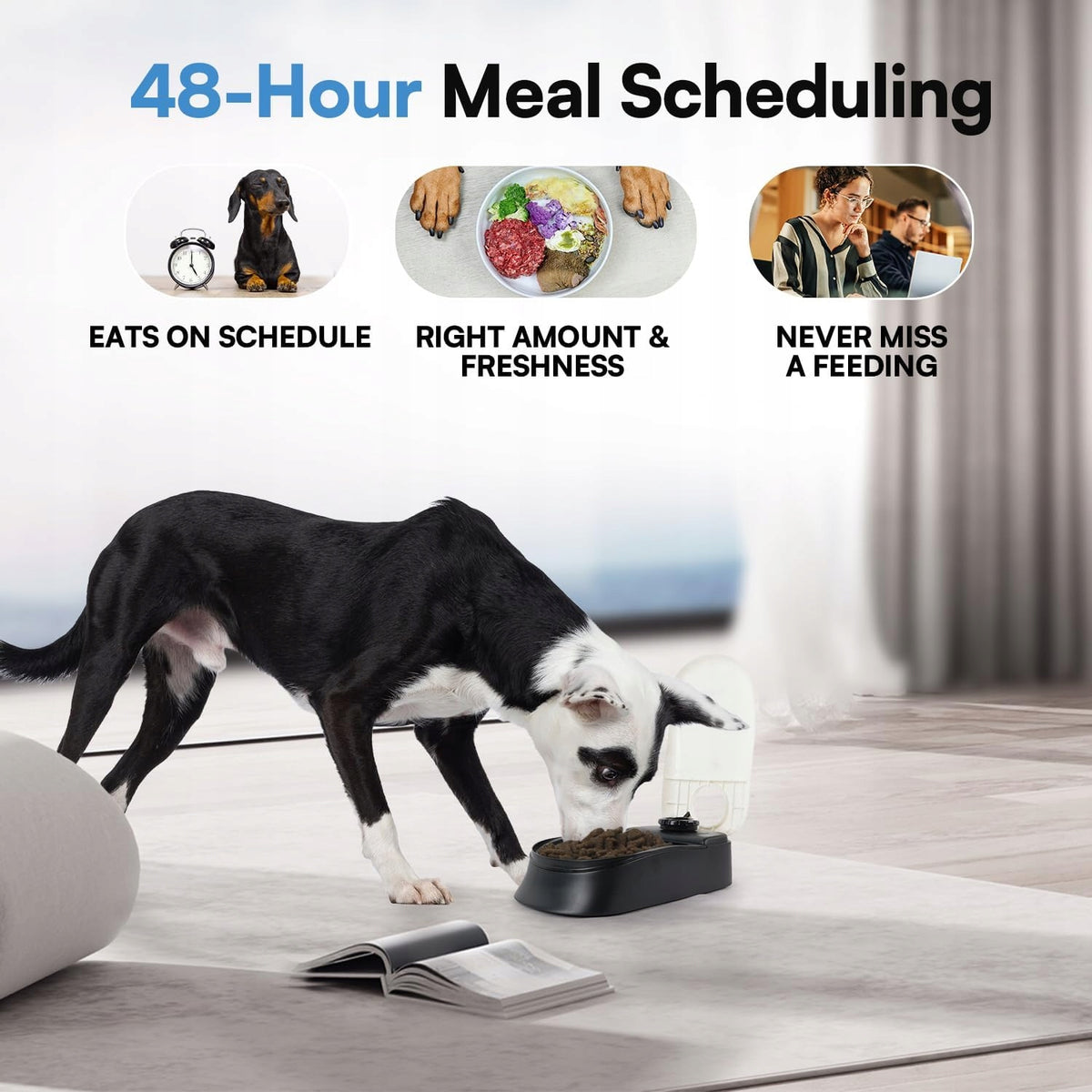FOOD DISPENSER 48H PROGRAMMER FOR CATS DOGS 1.5 CUPS AUTOMATIC Brand no brand