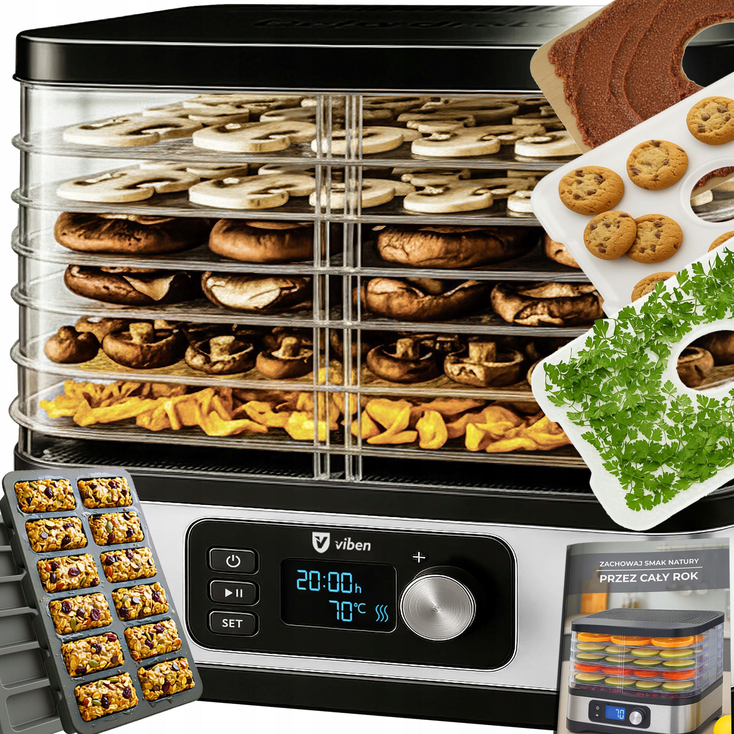FOOD GRADE FRUIT MUSHROOM DRYER QUIET TIMER ADDITIVES 450W 6 SIT