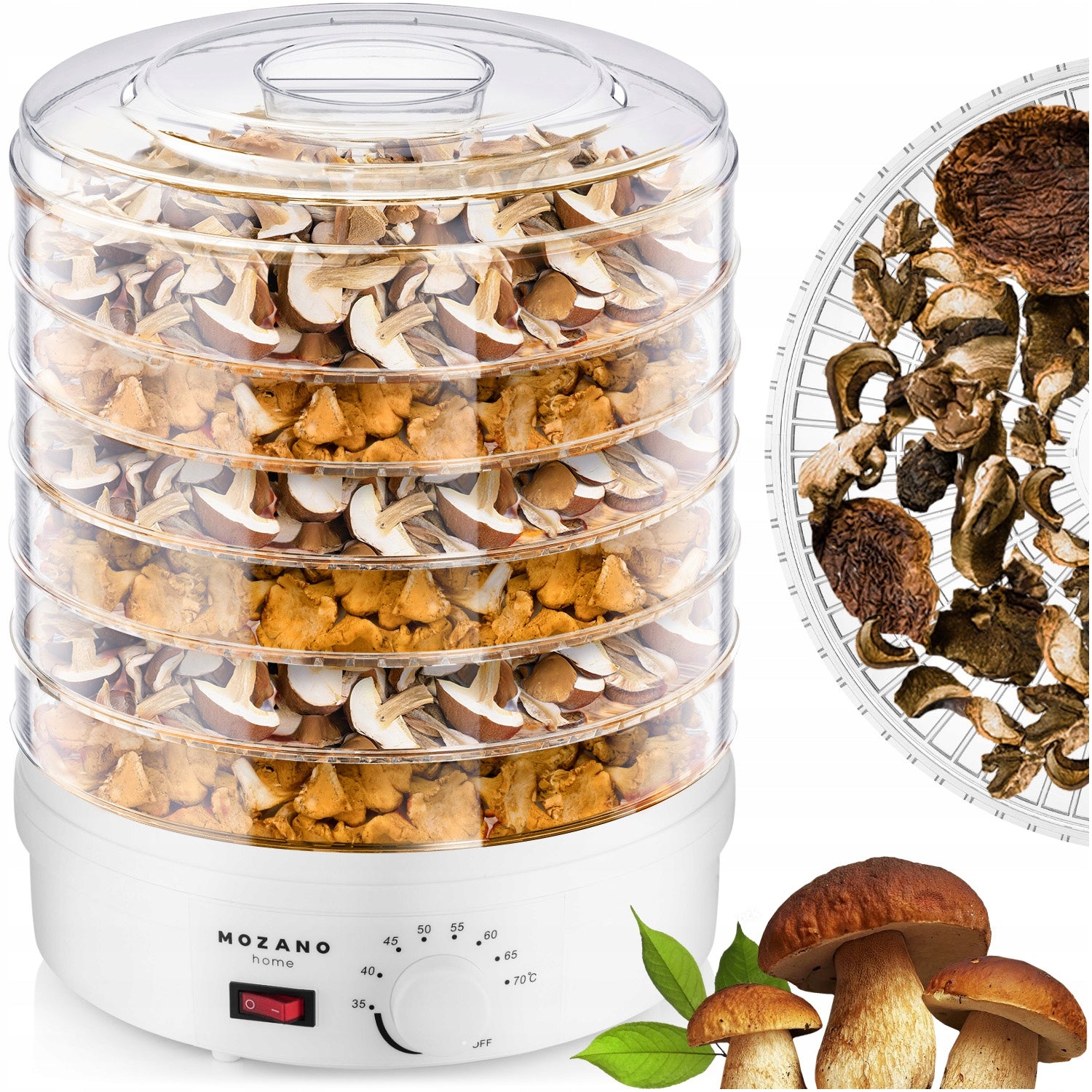 FOOD MUSHROOM DRYER 500W LARGE 6 SITES + THERMOCOUPLE + 8 LEVELS