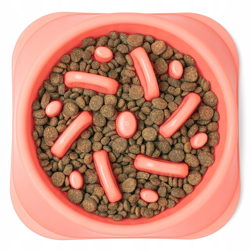 FOOD SLOWING BOWL FOR DOG, CAT AND OTHER PETS