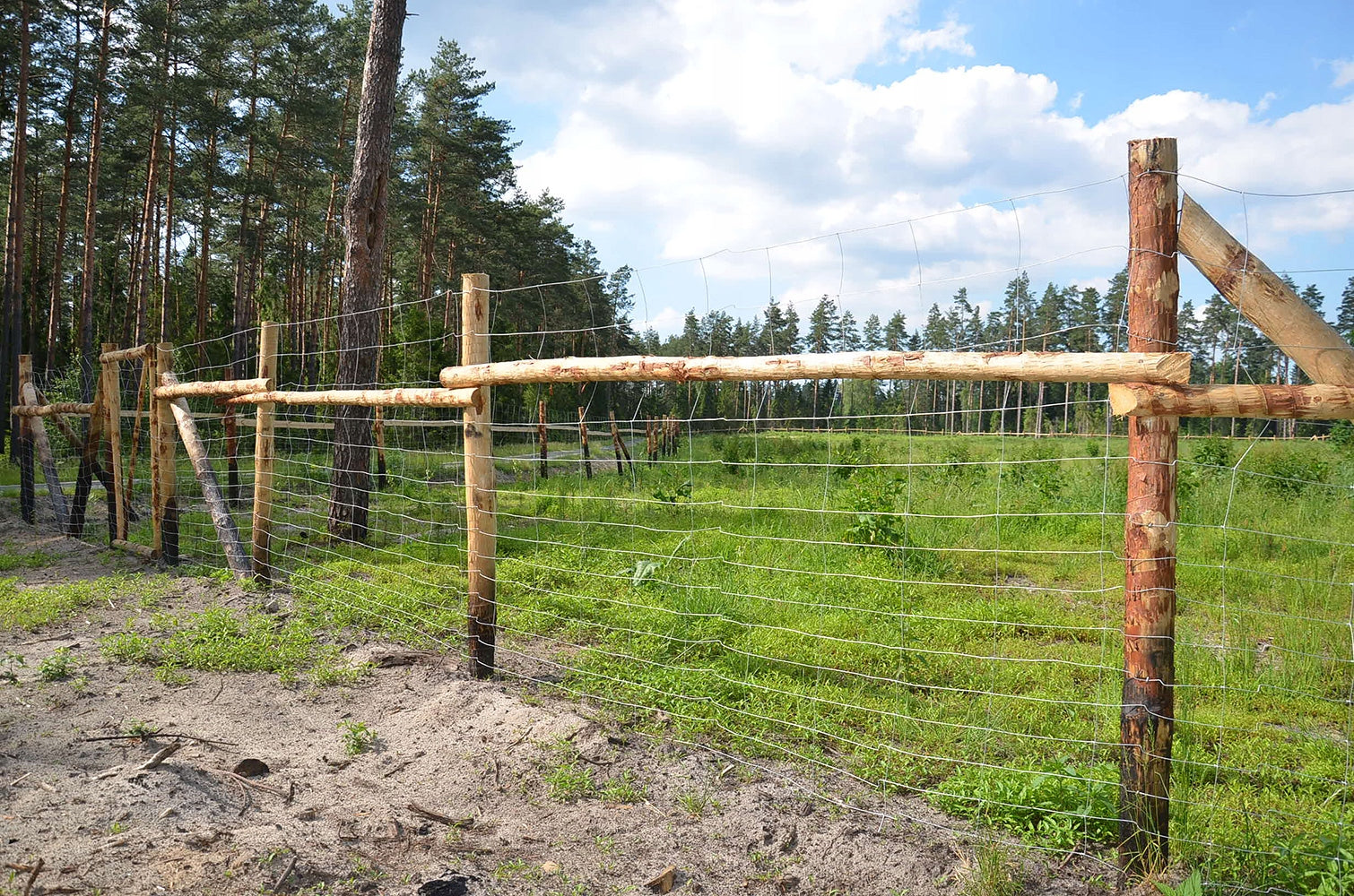 FOREST FENCE NET 120/9/15 L 50m + FREEBIE Height 1.2 m