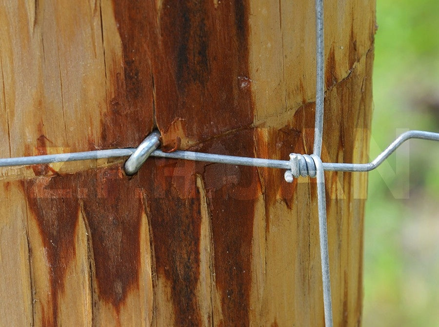 FOREST FENCE NET 120/9/15 L 50m + FREEBIE Wire thickness 1.6 mm