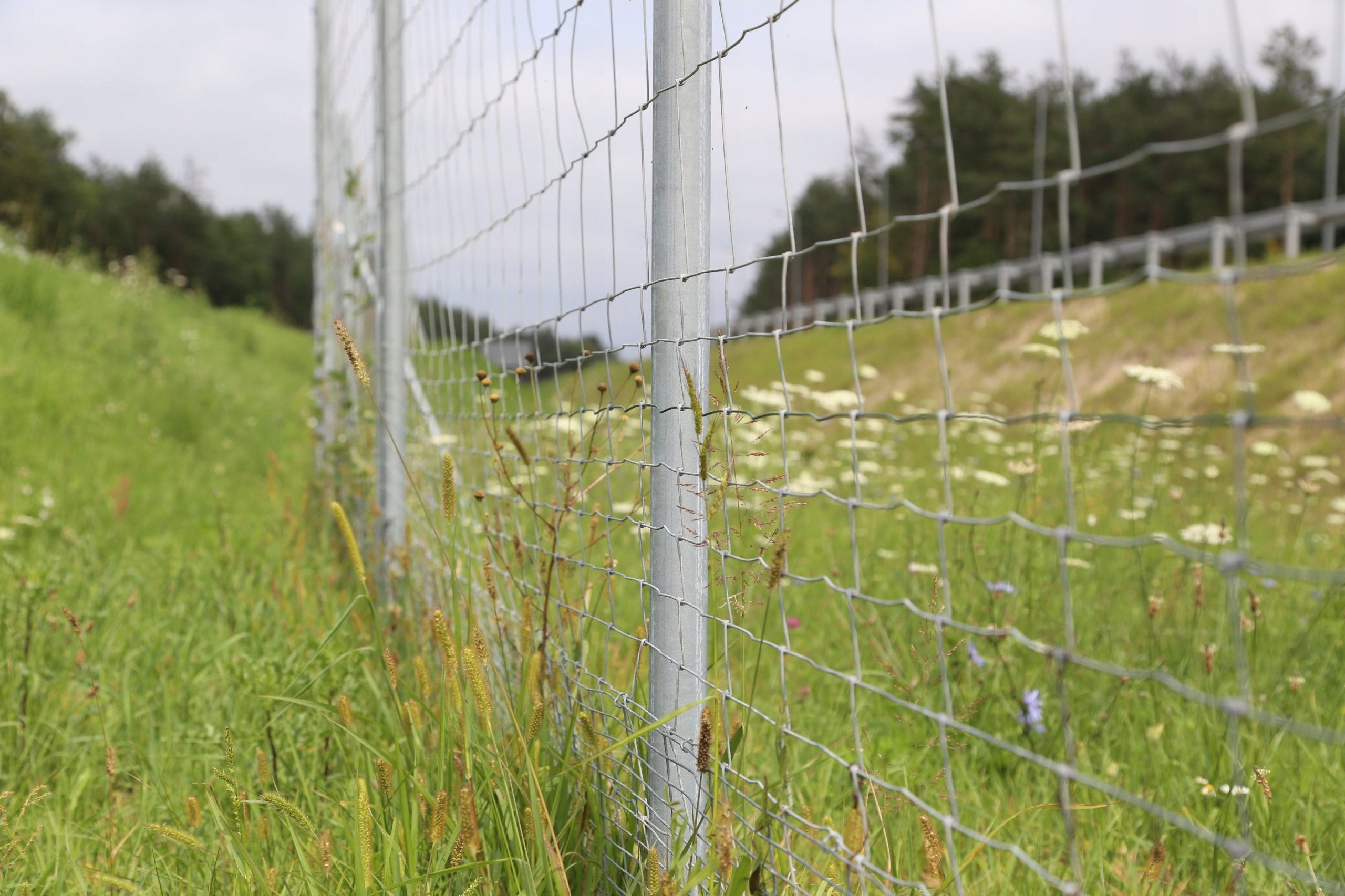 FOREST HIGHWAY NET L 150/19/15 + skoble 50m Length 50 m