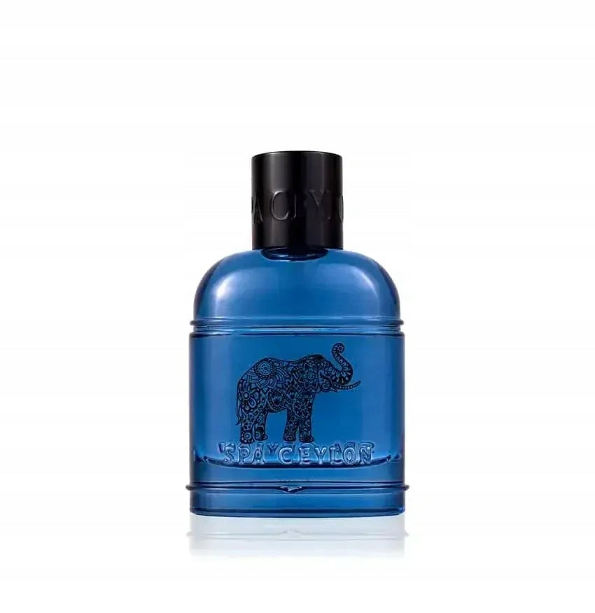 FOREST TRIBE Pánska parfumovaná voda 100 ml Brand Spa Ceylon