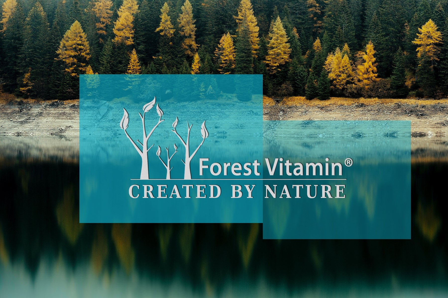 FOREST VITAMIN FISH COLLAGEN 1kg PURE WITHOUT ADDITIVES JOINTS SKIN HAIR Manufacturer code FOR/KOLAGEN//5/