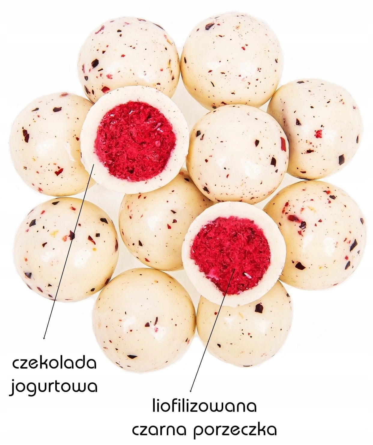 FORMELO FREEZE-DRIED BLACKCURRANT IN YOGURT CHOCOLATE 100% 100g Manufacturer code FR 3476