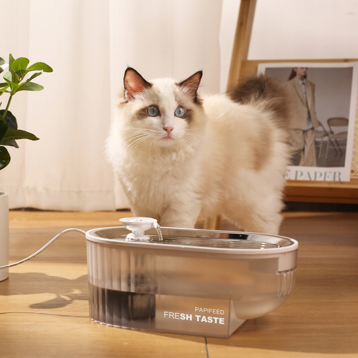 FOUNTAIN 2,5L STAINLESS STEEL CAT AND DOG Drinker with LED Sensor Manufacturer code PAPIFEED-GLO