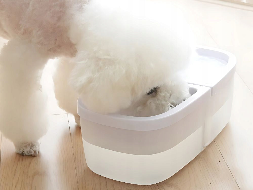 FOUNTAIN DOG CAT BOWL FOR WATER AND FOOD AUTOMATIC DRINKER 2IN1 USB Packaging status original