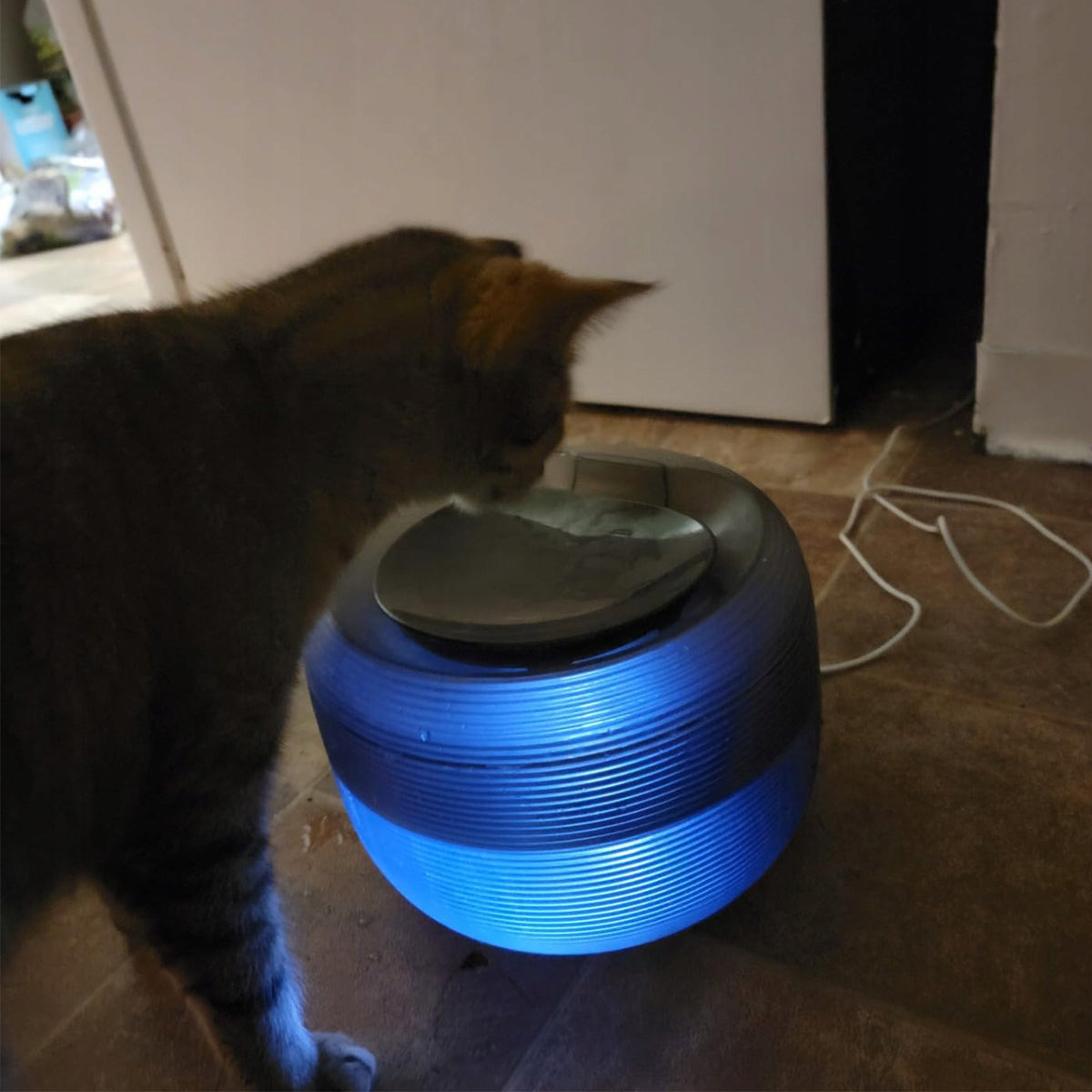 FOUNTAIN DRINKER CAT DRINKER AUTOMATIC 2.5L BOWL + SILENT LED FILTER Kind bowl stands