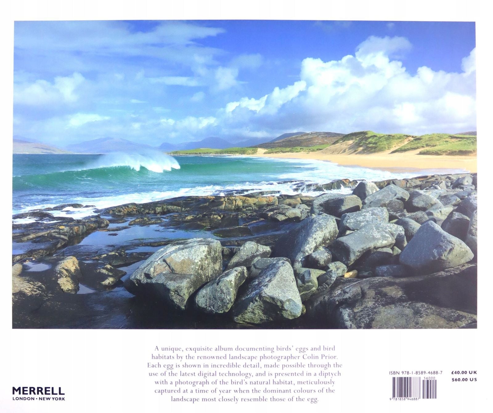 Fragile: Birds, Eggs & Habitats