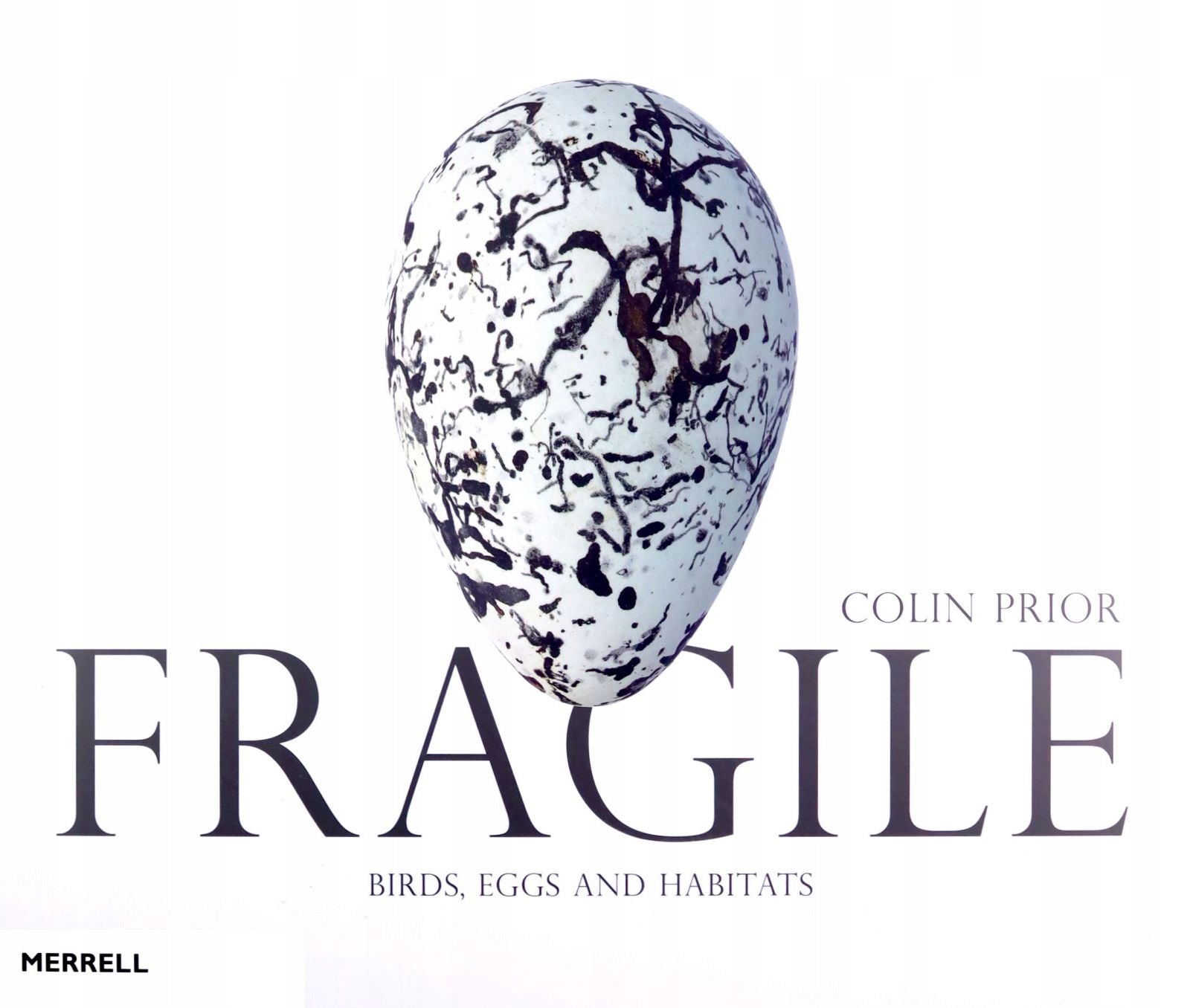 Fragile: Birds, Eggs & Habitats