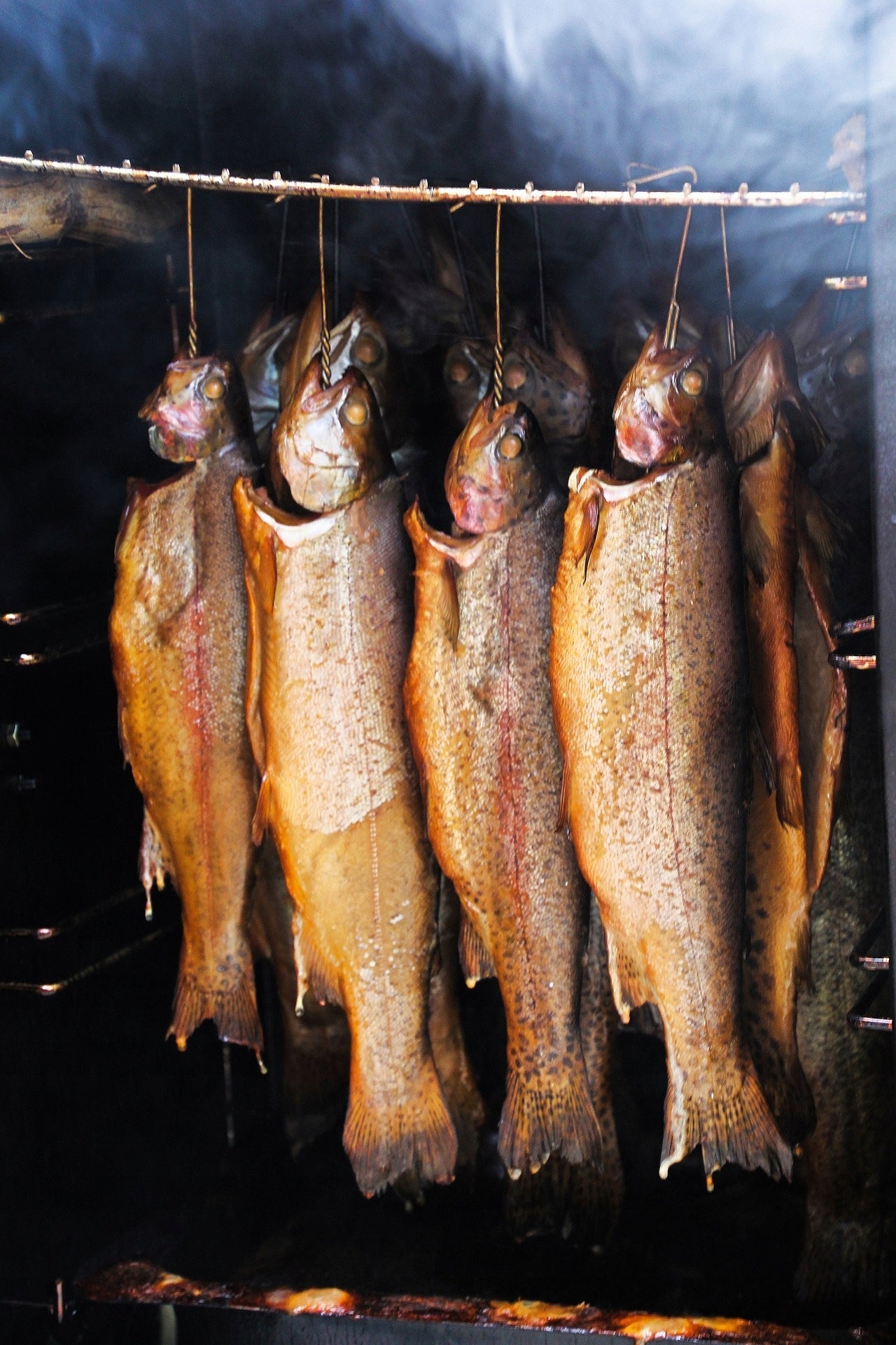 FRUIT SMOKING CHIPS FOR SMOKING 12 LITERS KL10 SET DIFFERENT GRILL Kind for smoking and grilling