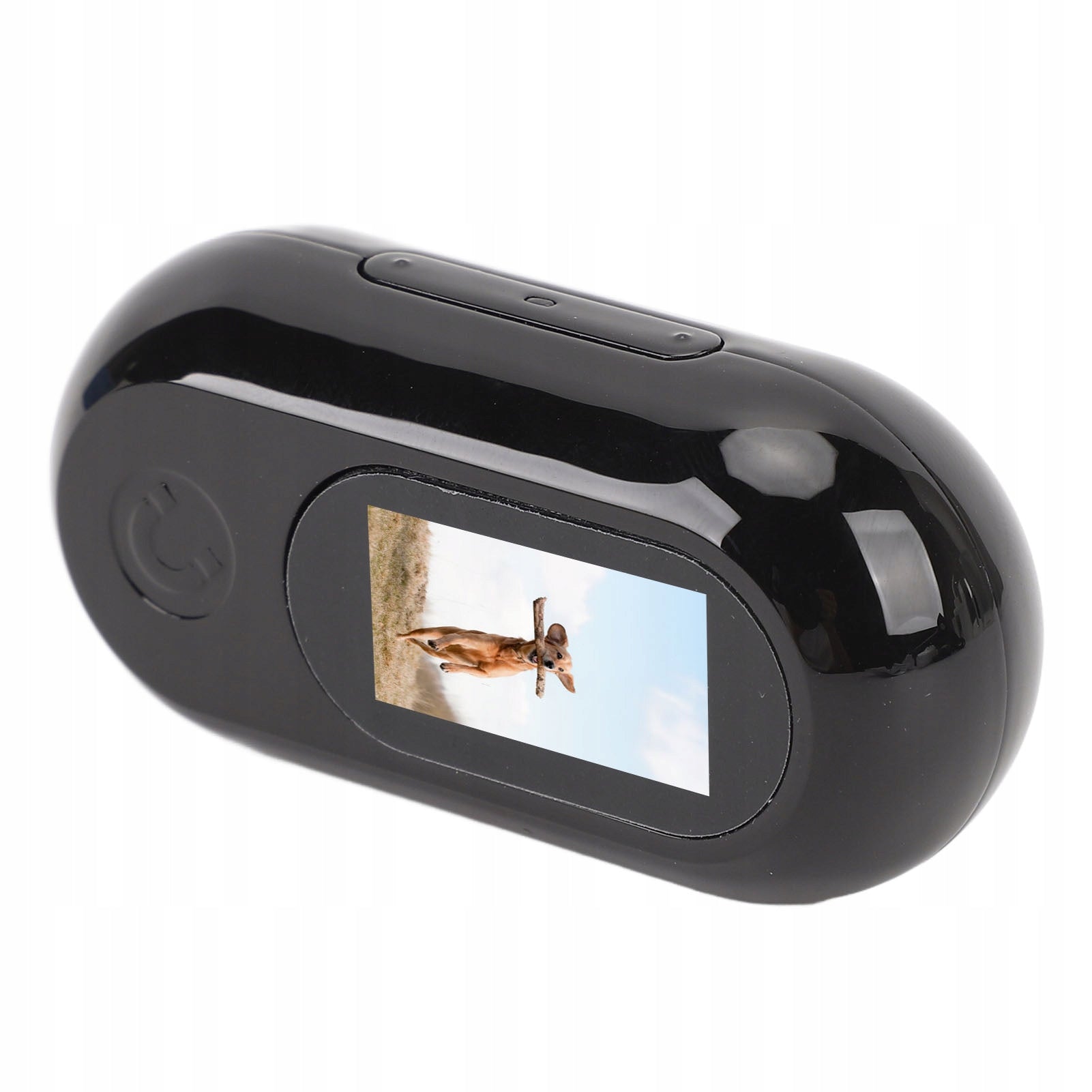 FULL HD 1080P PET COLLAR CAMERA FOR DOGS AND CATS COMPACT Packaging status original