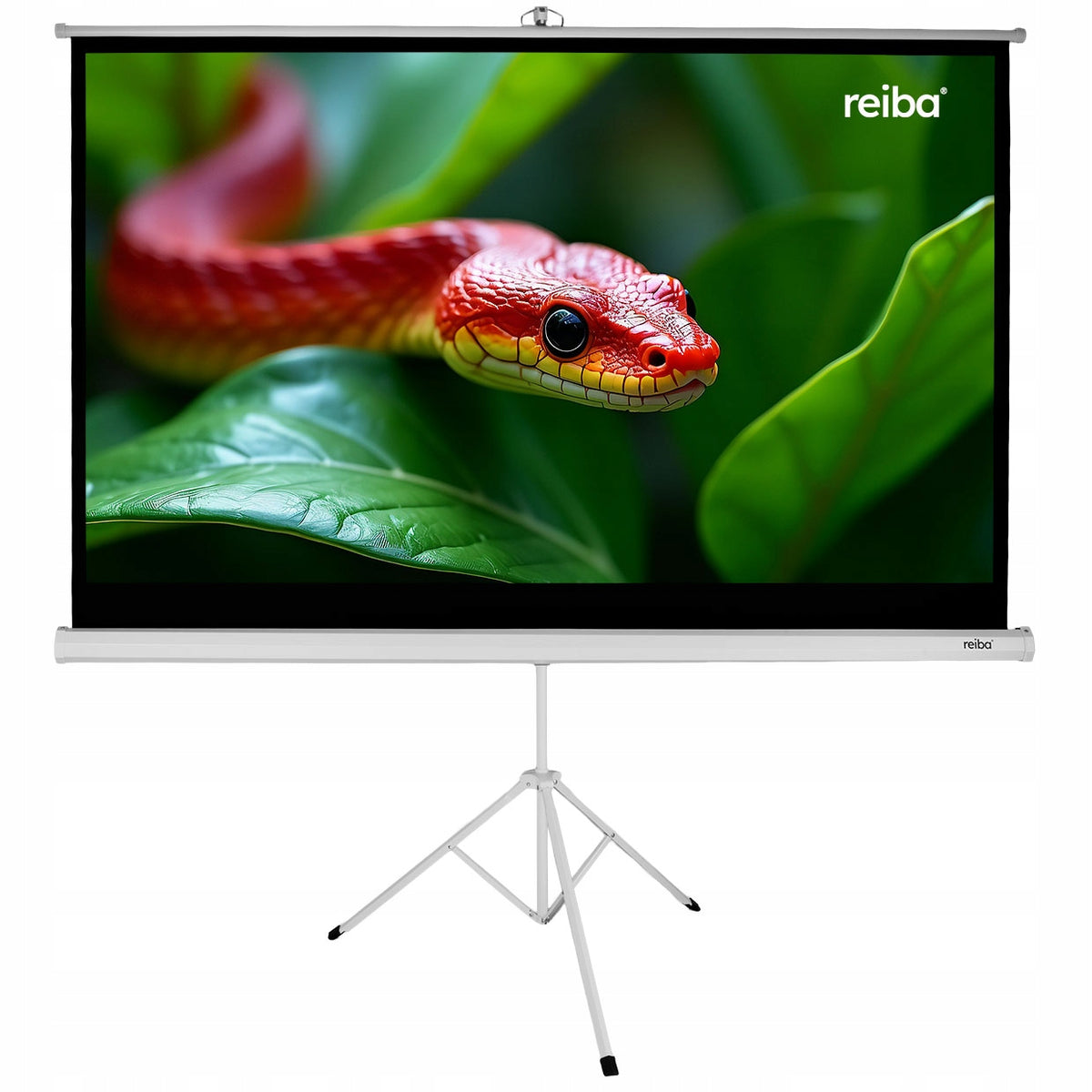 FULL HD ROLL-UP MULTIMEDIA SCREEN TRIPOD 16:9 SCREENBOX