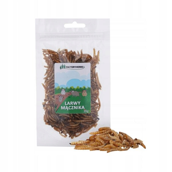 FactoryHerbs Larvae mealworm 20g