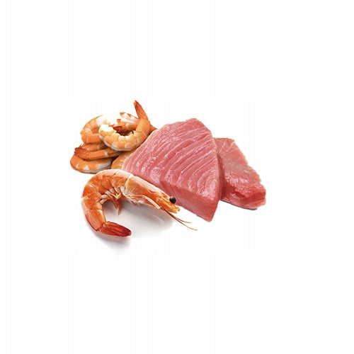 Farmina N&D Cat Ocean Tuna Shrimp 70g Wet Cat Food Tuna Shrimp Packaging status original