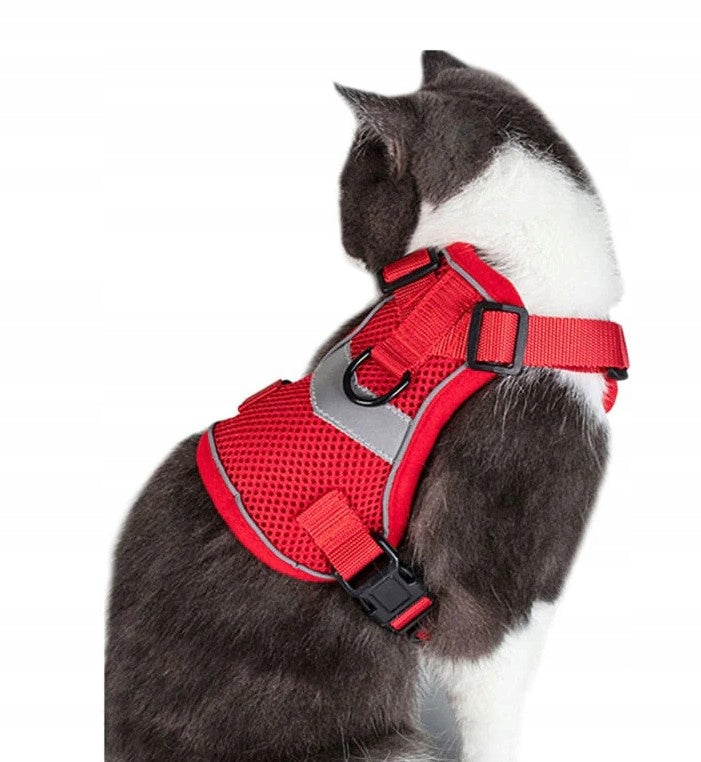 Fashionable cat harness, reflective, strong, Persian cat, red, size S Packaging status original
