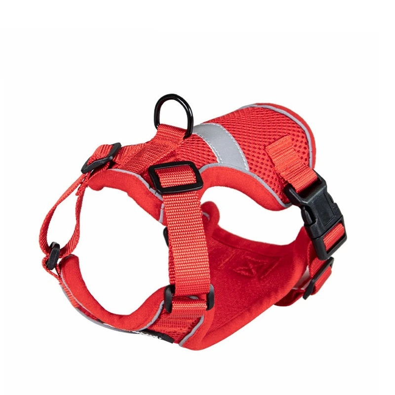 Fashionable cat harness, reflective, strong, Persian cat, red, size S