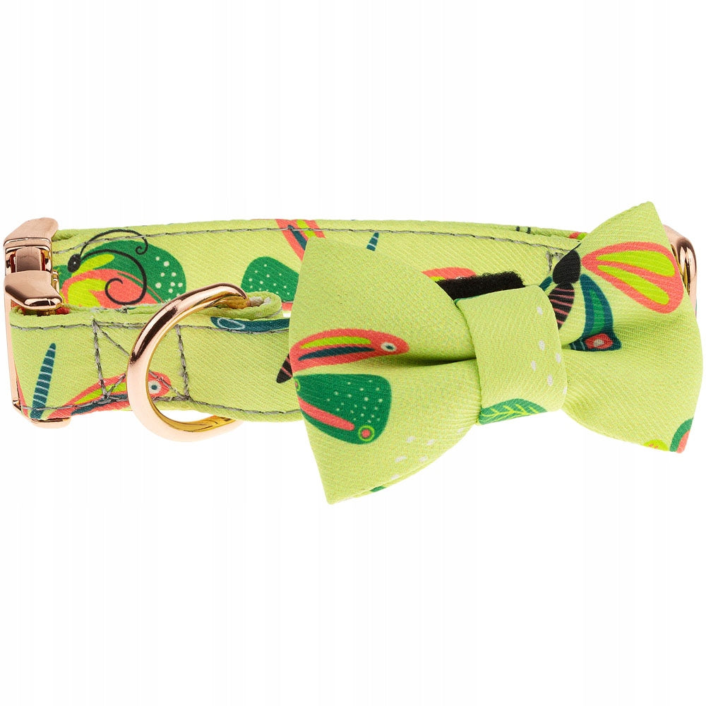 Fashionable glamour dog collar with BOW M