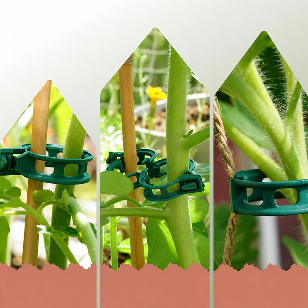 Fasteners Clips Holders for Fixing Tomato Plants Clips for Stems 50sz Dominant material plastic