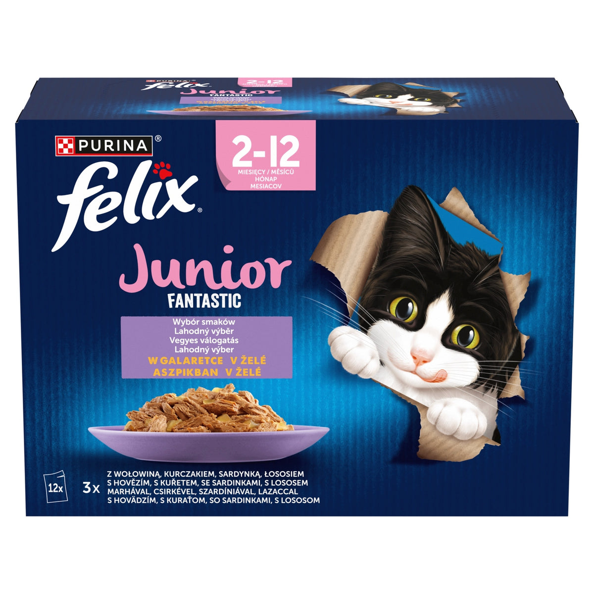 Felix Fantastic Junior 12x85g Manufacturer code 7613039776810