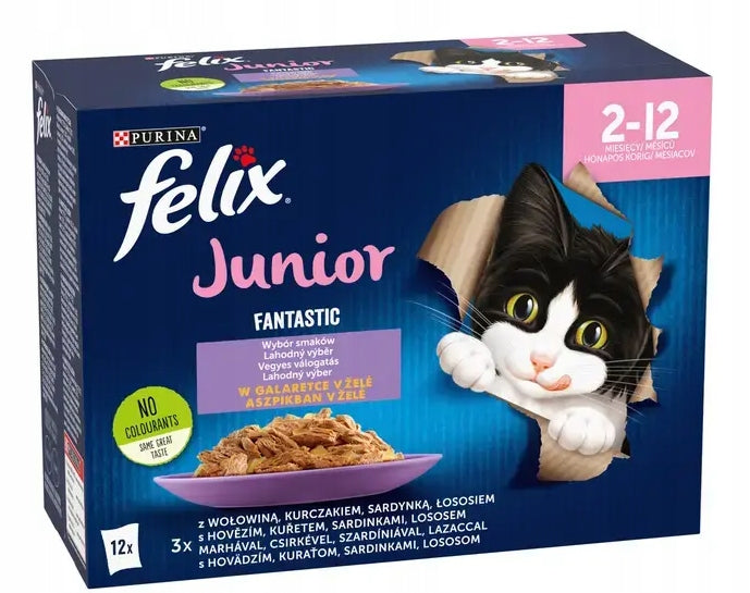Felix Fantastic Junior 12x85g