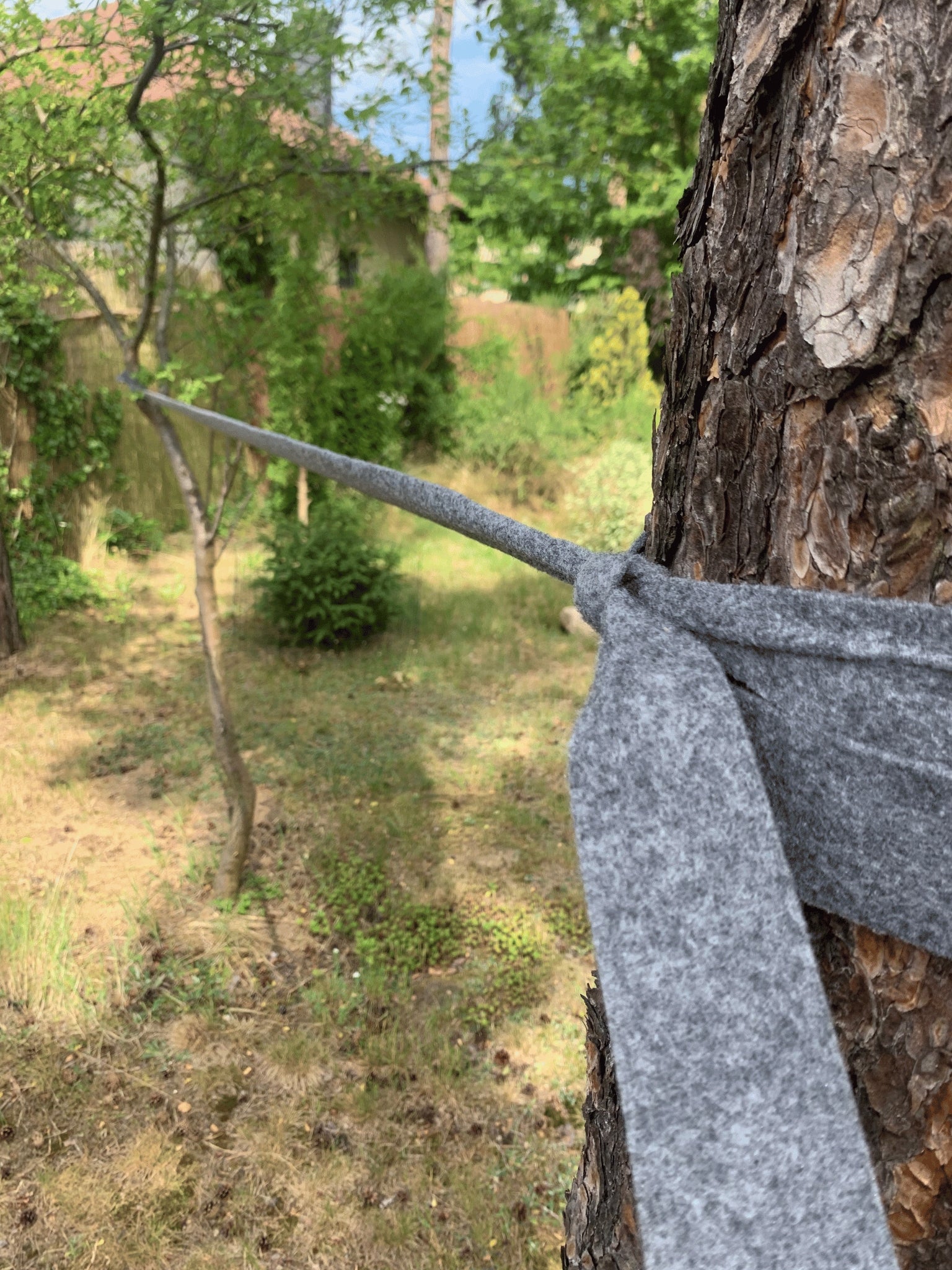 Felt gardening tape for fixing trees, width 5 cm roll 25 m Dominant material other