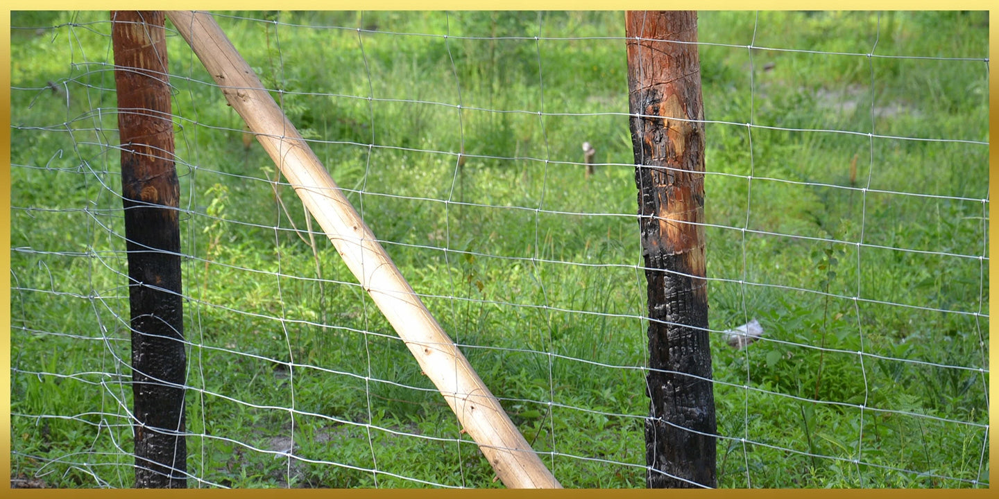Fence FOREST MESH 180/14/15 L 50m BUILDING FOR GAME DEER boar Length 50 m