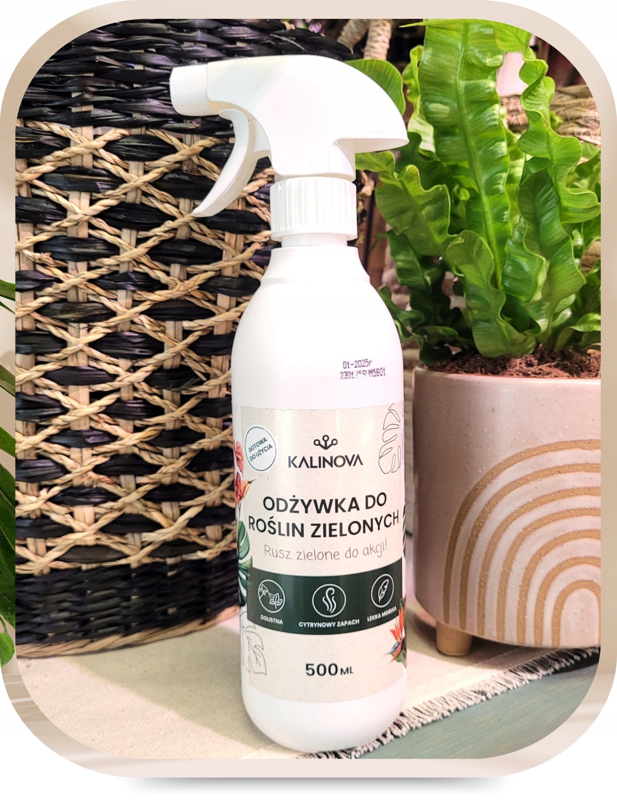 Fertilizer Conditioner Green Plant Leaf Fertilizer Monstery Palm Spray 500ml Fertilizer type multicomponent