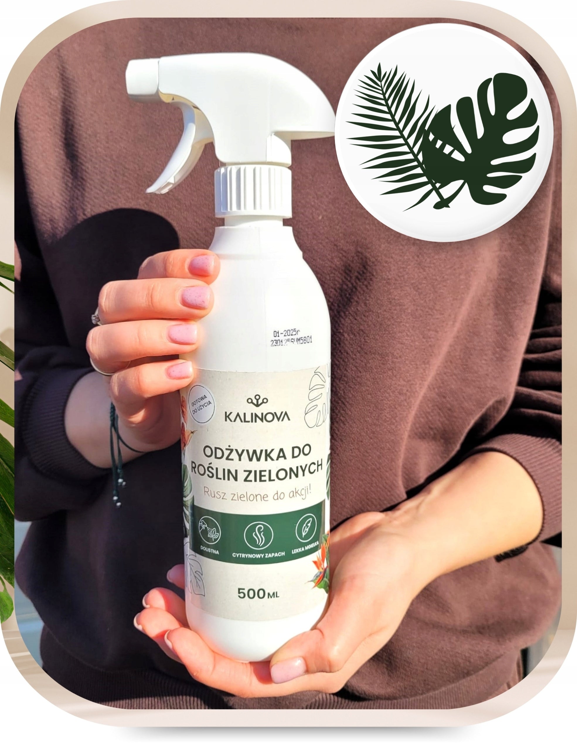 Fertilizer Conditioner Green Plant Leaf Fertilizer Monstery Palm Spray 500ml Form liquid