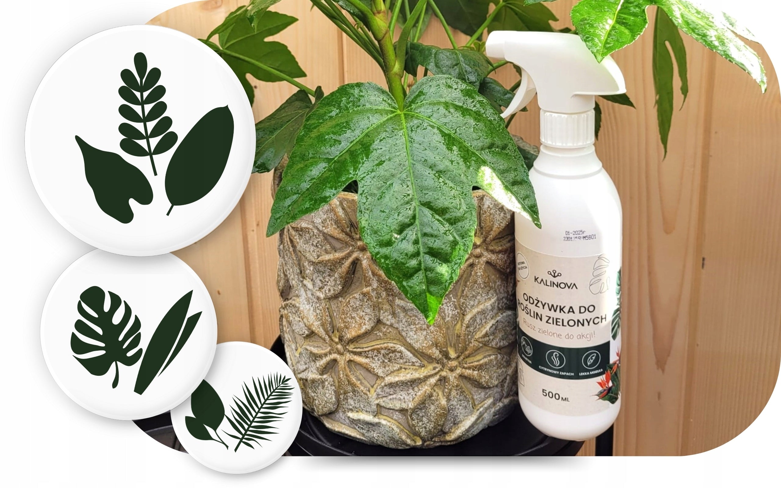 Fertilizer Conditioner Green Plant Leaf Fertilizer Monstery Palm Spray 500ml Manufacturer KALINOVA